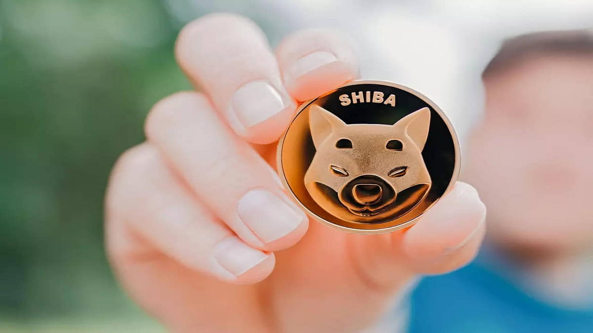 Shiba Inu, Mungkinkah Burn Melambungkan Harga di 2022 ?