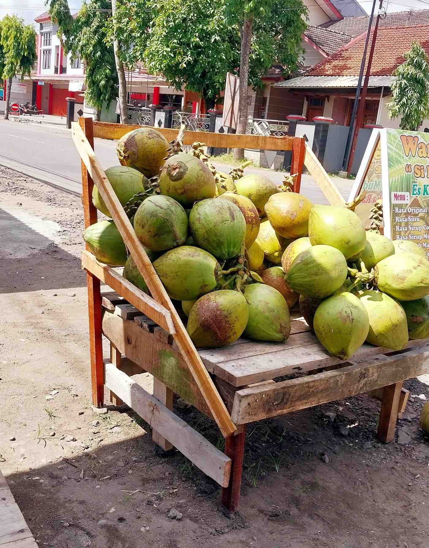 Bisnis Kelapa Muda: Untung Bersih $1 per Buah, Yuk Mulai!